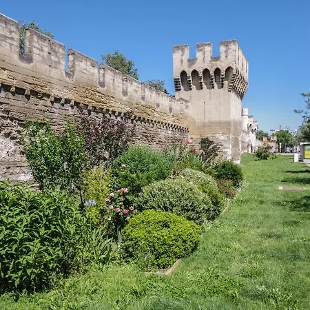 D'avignon